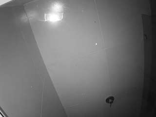 voyeurcam casa salsa bathroom 10